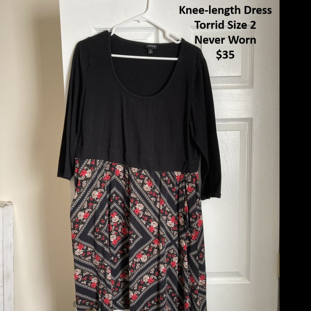 Torrid Size 2 Dress NEVER WORN
